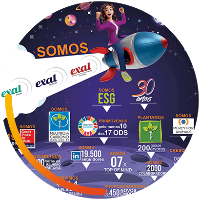 Exal - nossos numeros